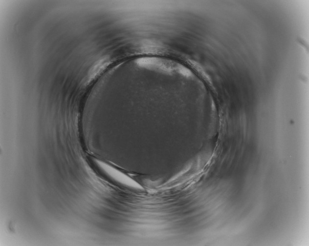 X0000097790154200803211828