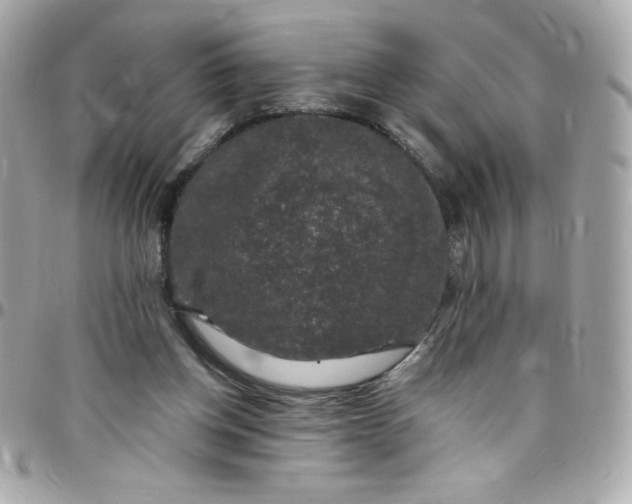 X0000097790158200803211828