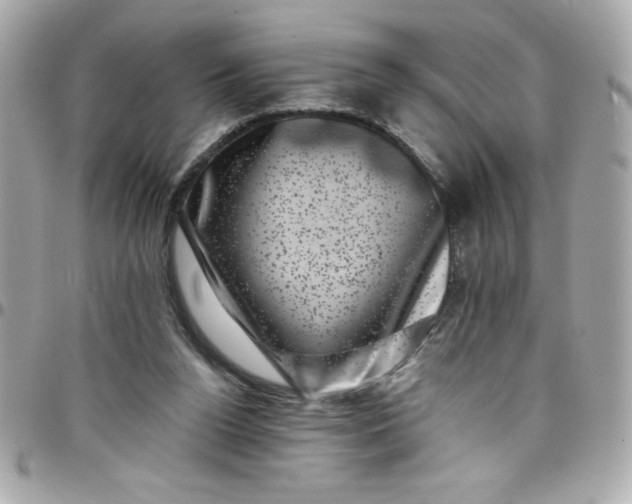 X0000097790160200803211828