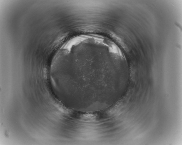 X0000097790161200803211828
