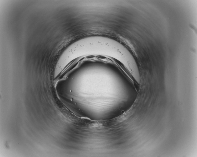 X0000097790162200803211828