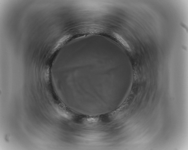 X0000097790163200803211828