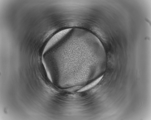X0000097790164200803211828