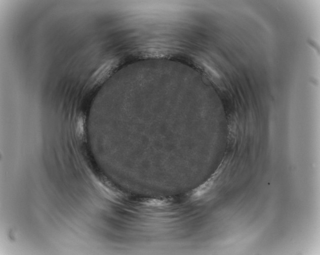 X0000097790166200803211828