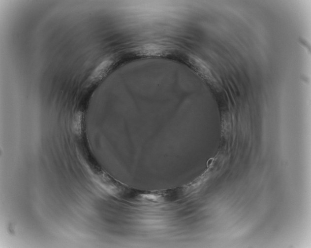 X0000097790167200803211828