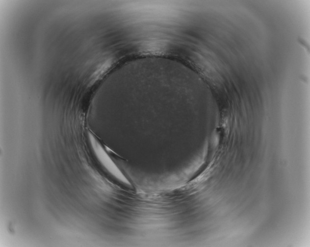 X0000097790168200803211828