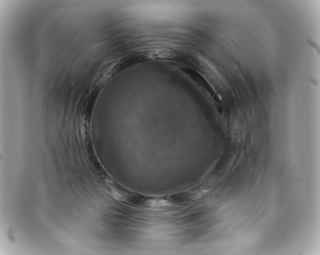 X0000097790169200803211829