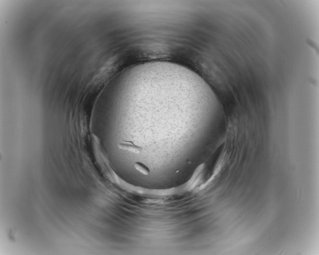 X0000097790170200803211829