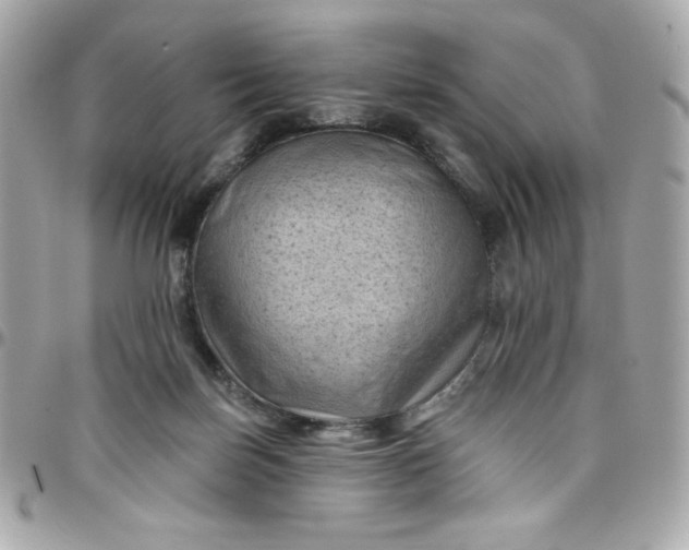 X0000097790171200803211829