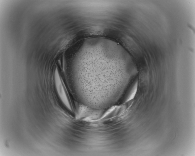 X0000097790172200803211829