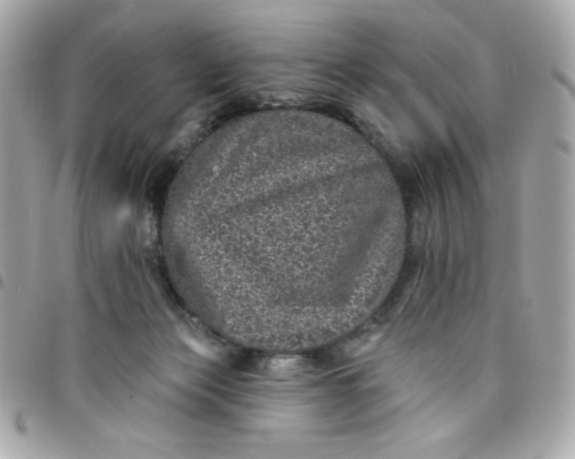 X0000097790173200803211829