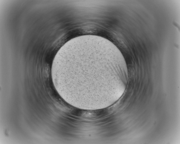 X0000097790174200803211829