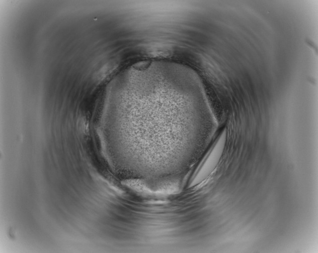 X0000097790176200803211829