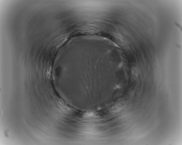 X0000097790177200803211829