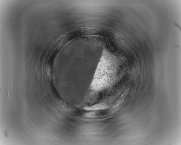 X0000097790178200803211829