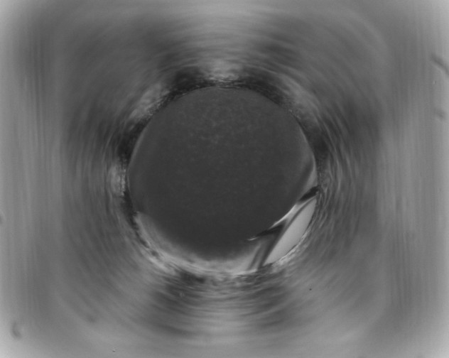 X0000097790180200803211829