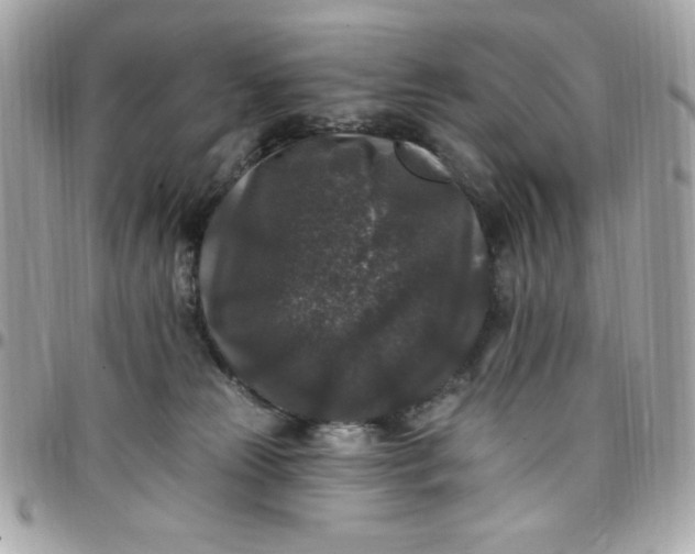 X0000097790181200803211829