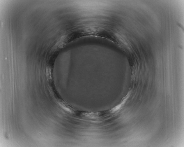 X0000097790182200803211829