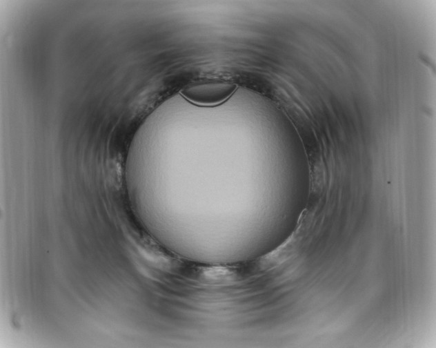X0000097790183200803211829