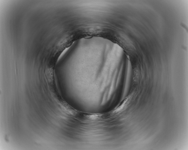 X0000097790184200803211829