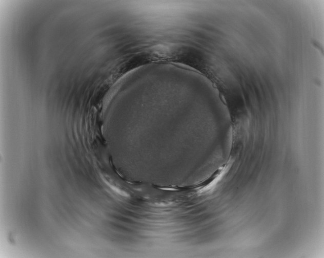 X0000097790186200803211829