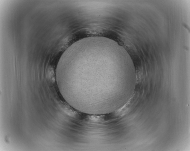 X0000097790187200803211829