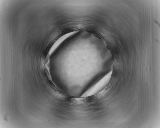 X0000097790188200803211829