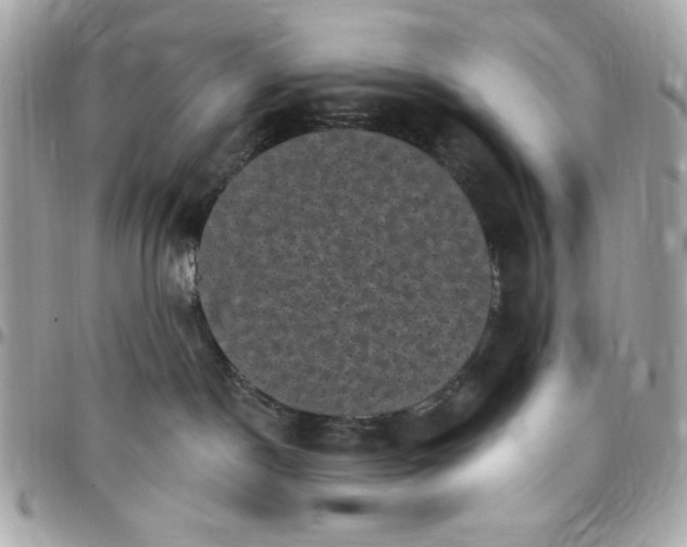 X0000097790190200803211829