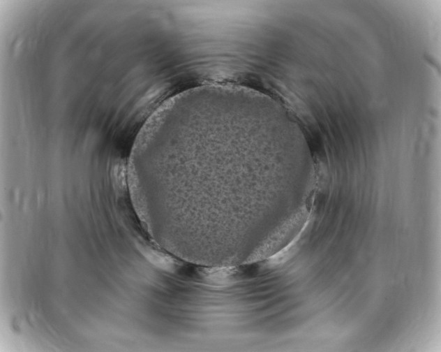 X0000097790191200803211829