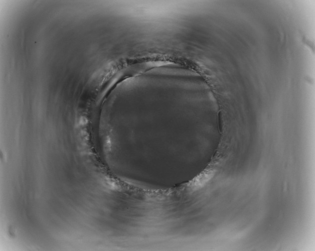 X0000097790192200803211829