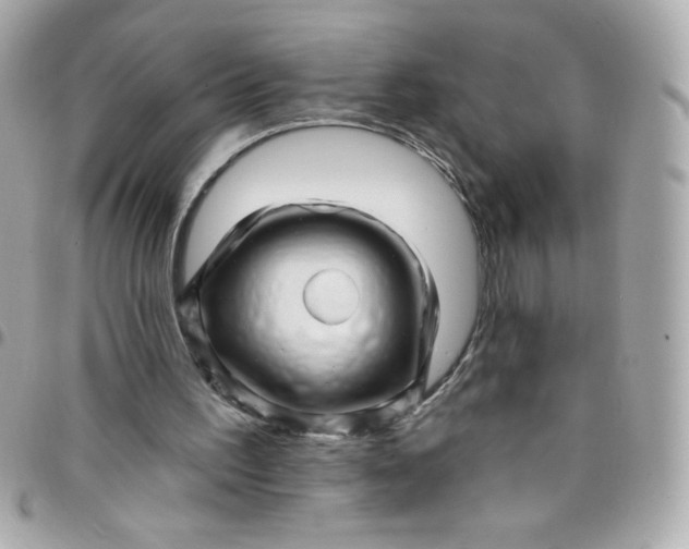 X0000097790195200803211828