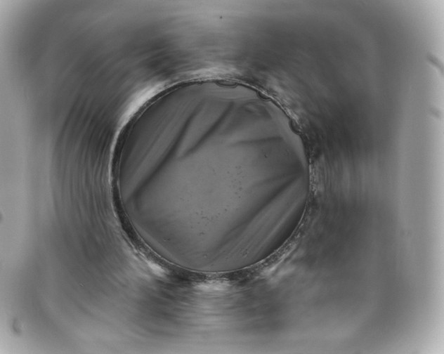 X0000097790196200803211828