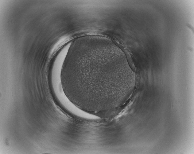 X0000097790197200803211828