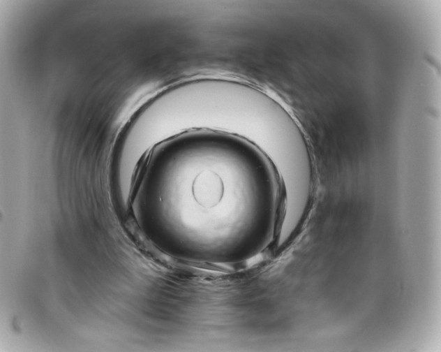 X0000097790199200803211828