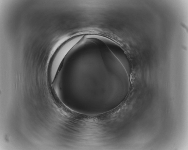 X0000097790200200803211828