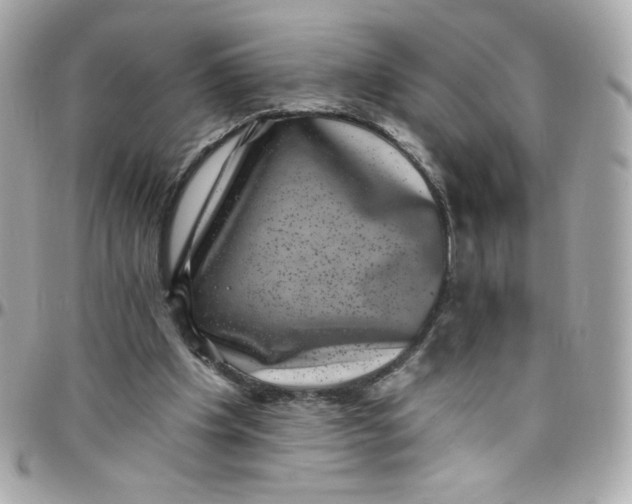 X0000097790201200803211828