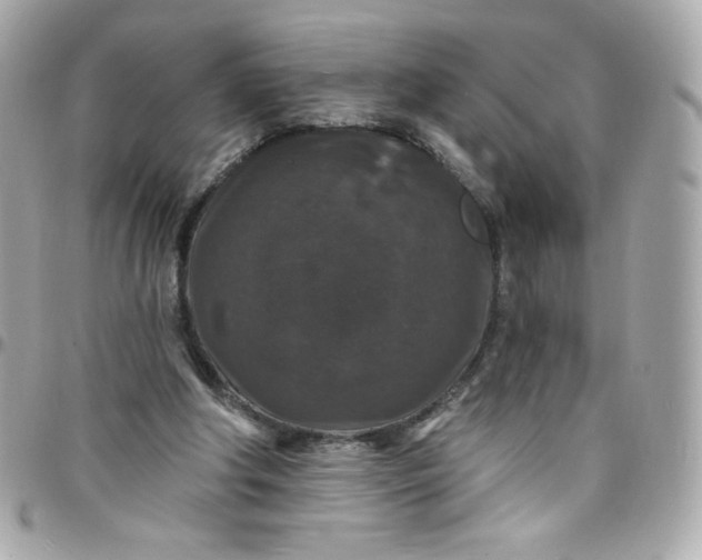 X0000097790202200803211828