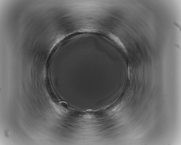 X0000097790204200803211828