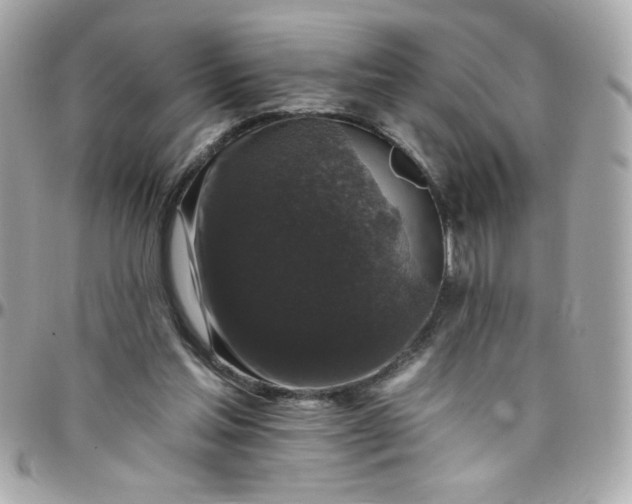 X0000097790205200803211828