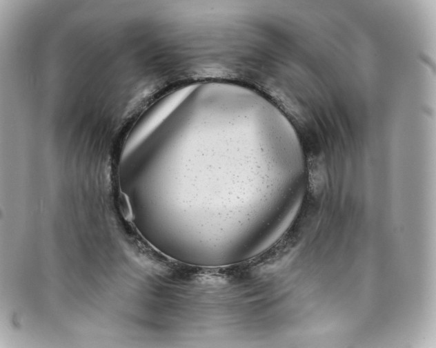 X0000097790207200803211828