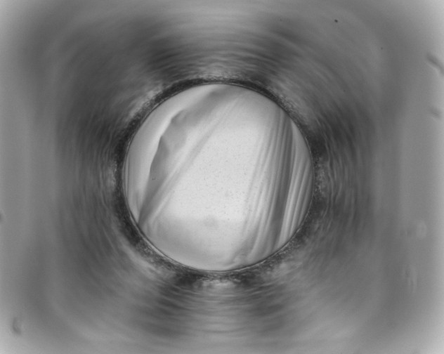 X0000097790208200803211828