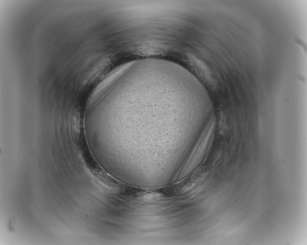 X0000097790210200803211828
