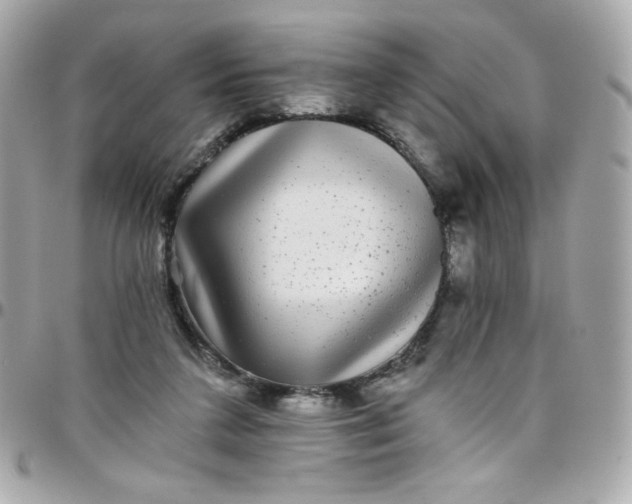 X0000097790211200803211828