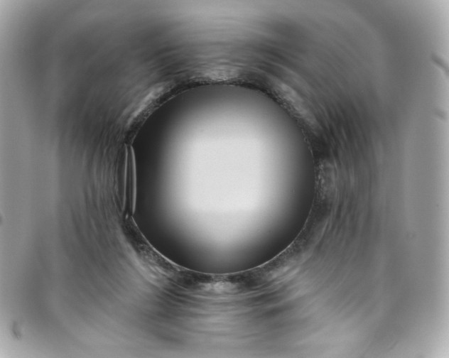 X0000097790212200803211828