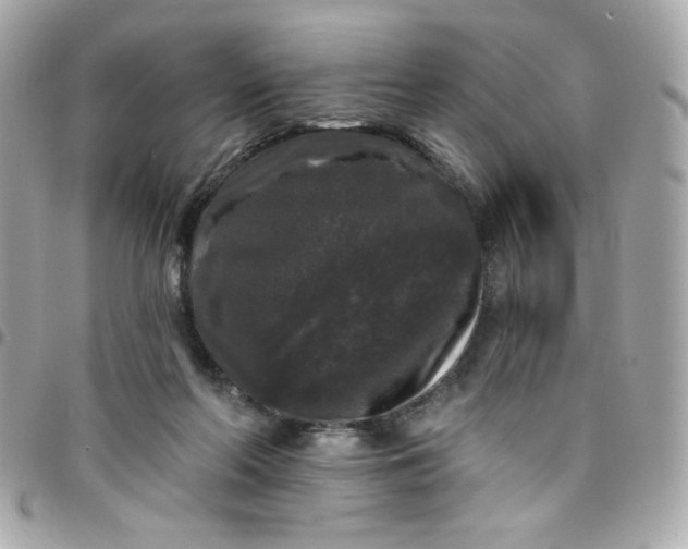 X0000097790214200803211828