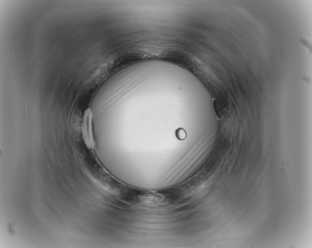 X0000097790215200803211828