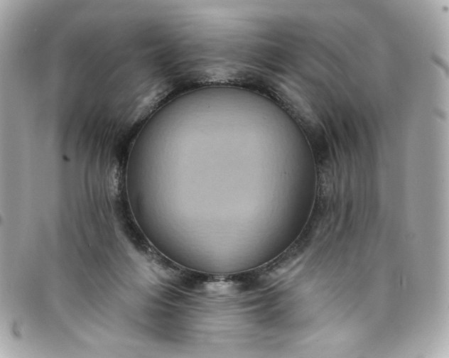 X0000097790216200803211828