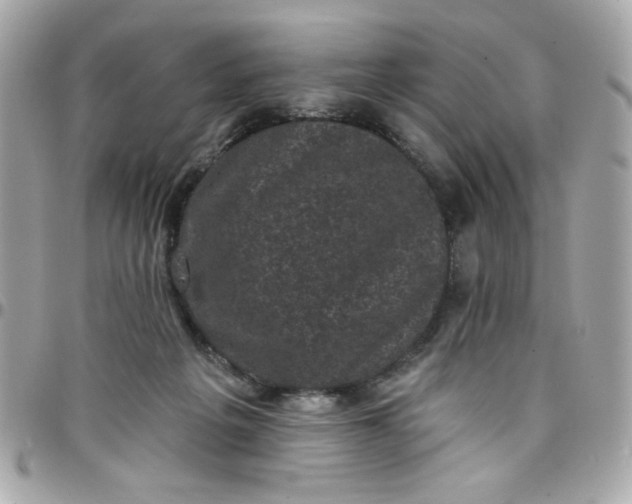 X0000097790217200803211828