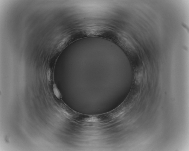 X0000097790219200803211828