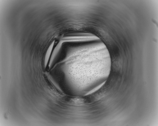 X0000097790221200803211828